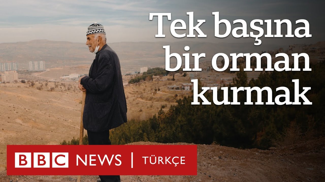 Tek Başına Orman Yaratmak Mümkün mü? Şeyhmus Amca’nın Hikayesi