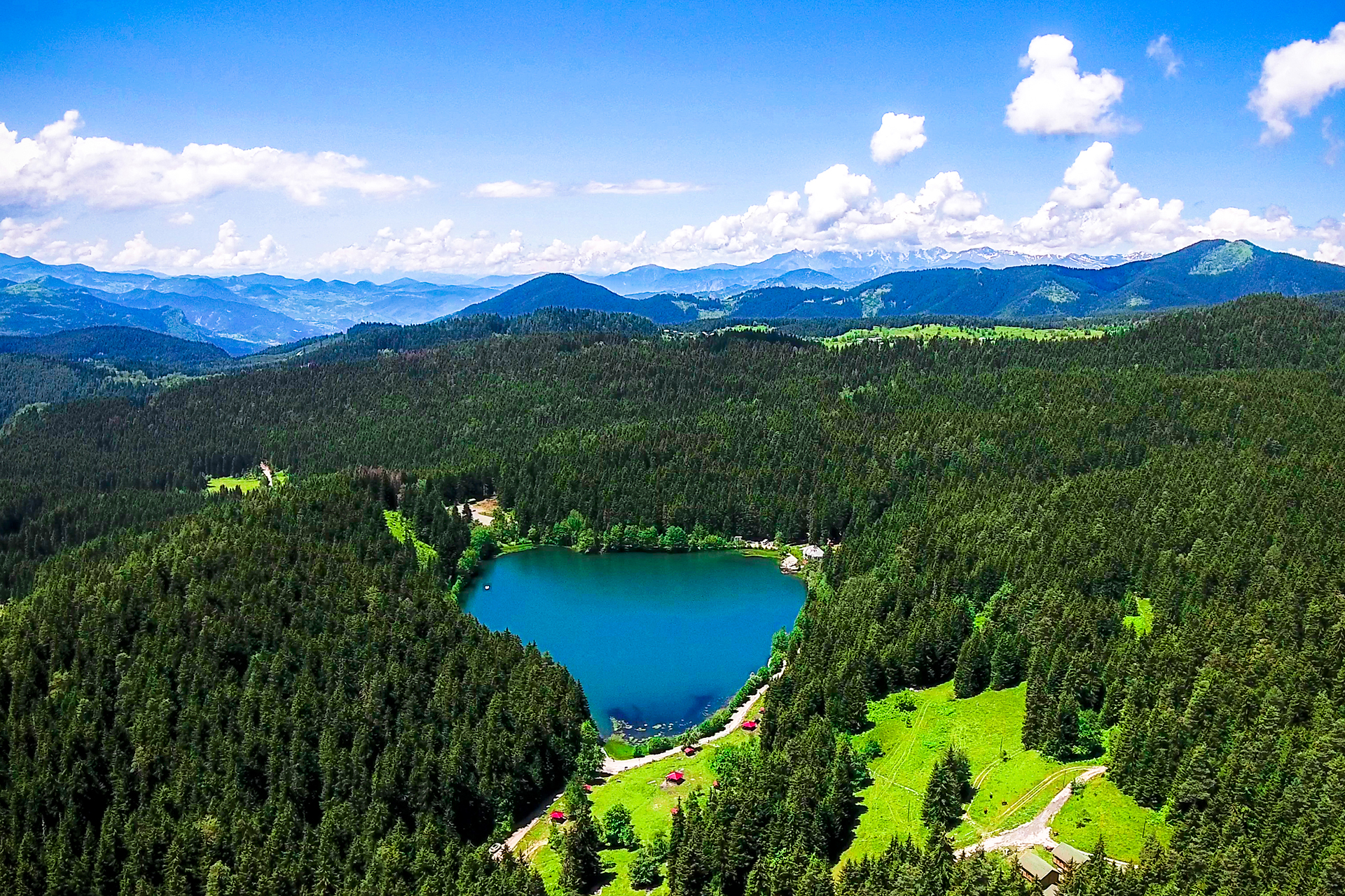 Karagöl&Sahara Milli Parkı: Kampçılık ve Gözlemciliğe Uygun Yaban Hayatı