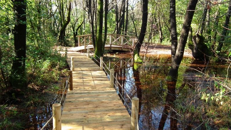 Marmaris Milli Parkı: Yat Turları ve Mavi Yolculuk